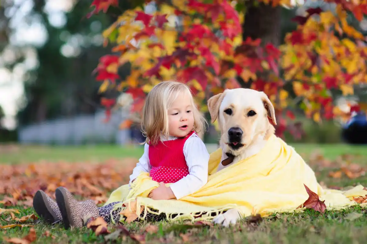 Featured image for “Setting Your Summer AC for Pets: Safe Temperatures for Dogs and Cats”